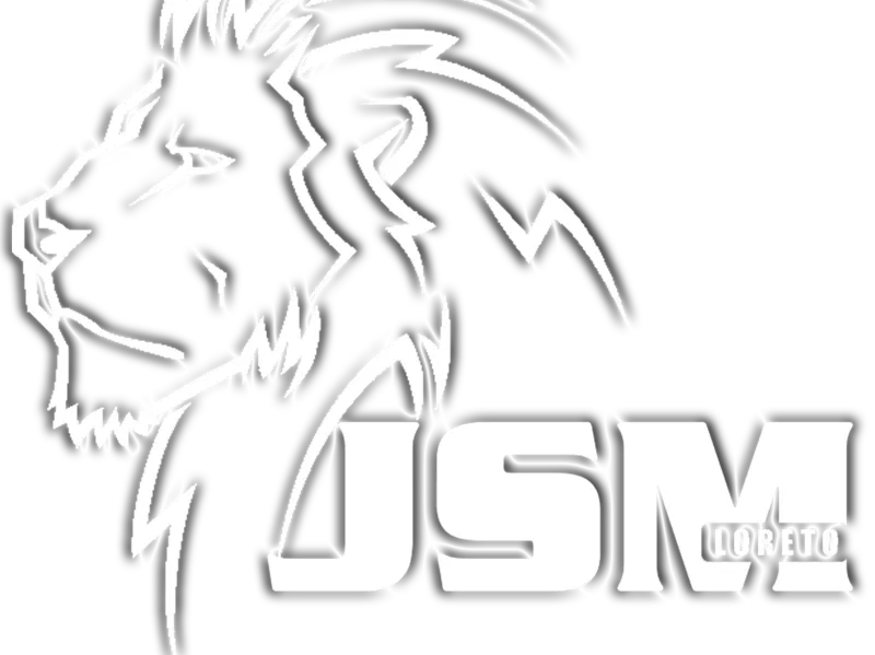 Pin 3 colores JSM Leon