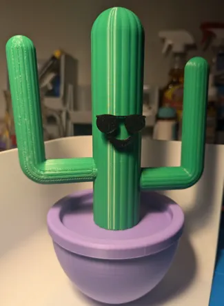 Happy Cactus Hair Tie Holder