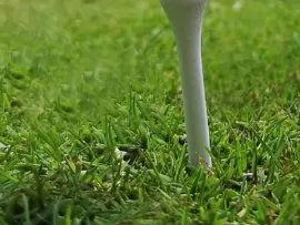 Golf Tee