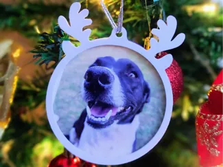Enfeite Natal formato de rena para colocar foto