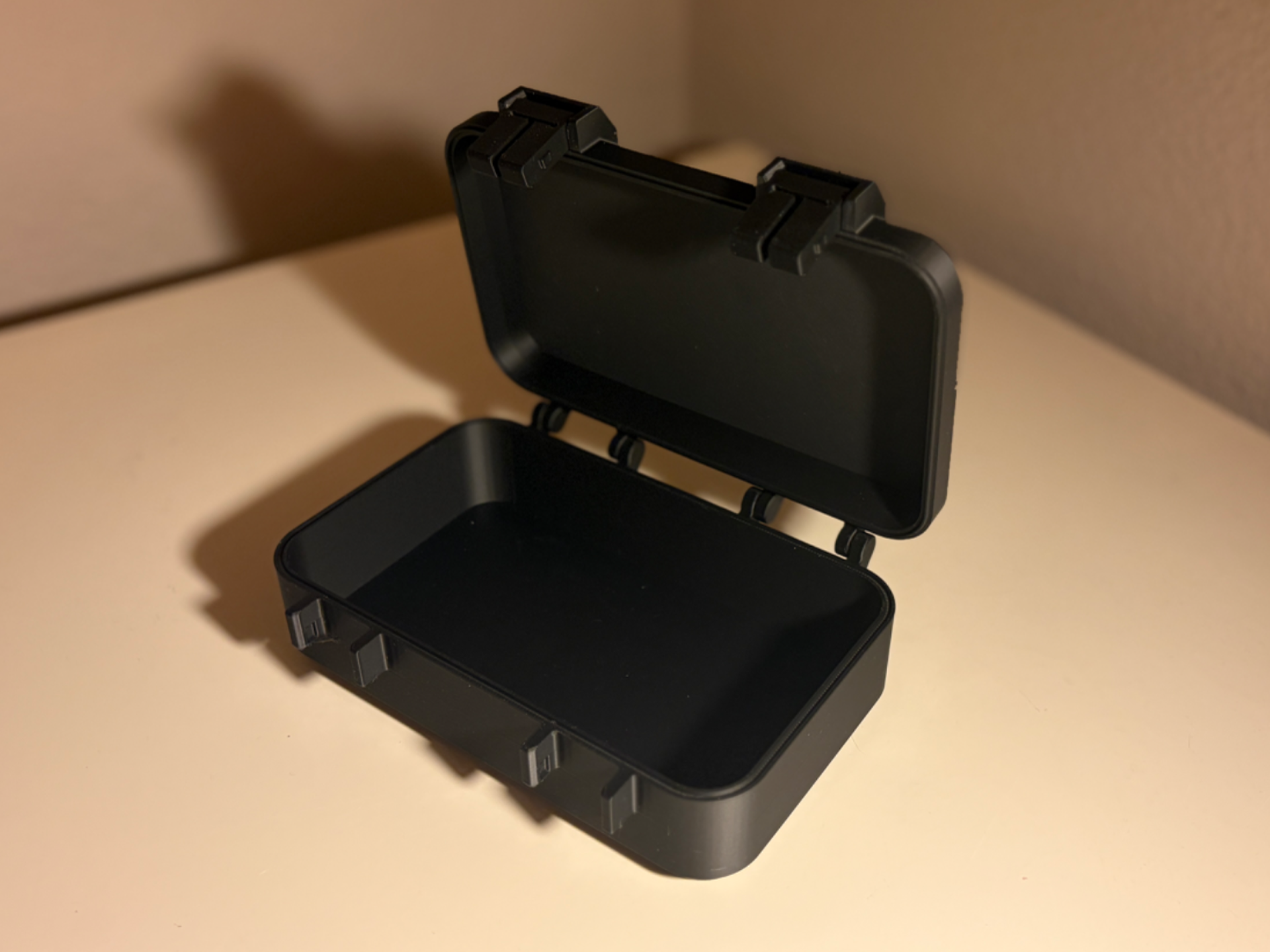Storage case