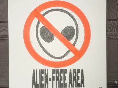 alins free zone sign