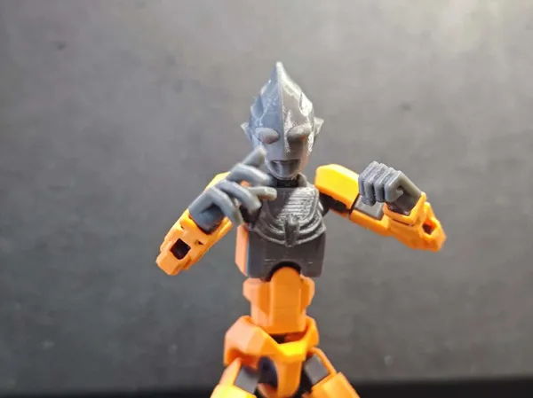 https://makerworld.bblmw.com/makerworld/model/UScc0b32247ac74c/design/2024-07-29_333bcfba4772b.jpg