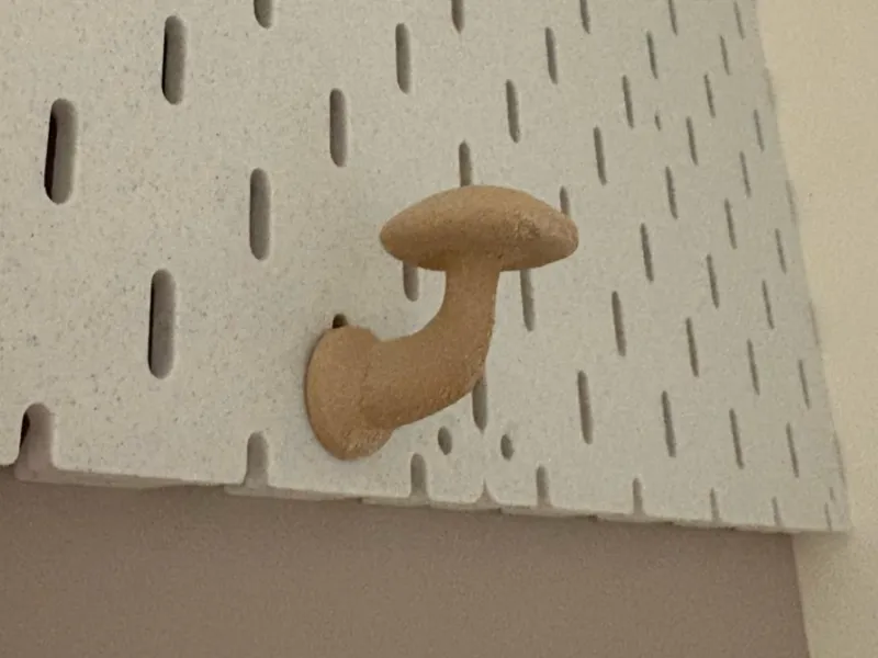 Mushroom and Skadis Hook