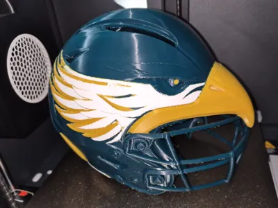 Philadelphia eagles display helmet