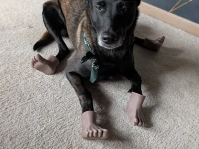 Uncanny Human Dog Feet