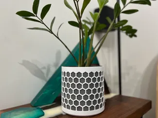NO AMS Hexagon pattern planter + water tray/cover