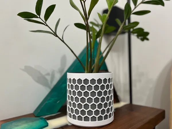 https://makerworld.bblmw.com/makerworld/model/UScc11c4c884a725/design/2025-01-07_bcd914fa0c5e2.jpg