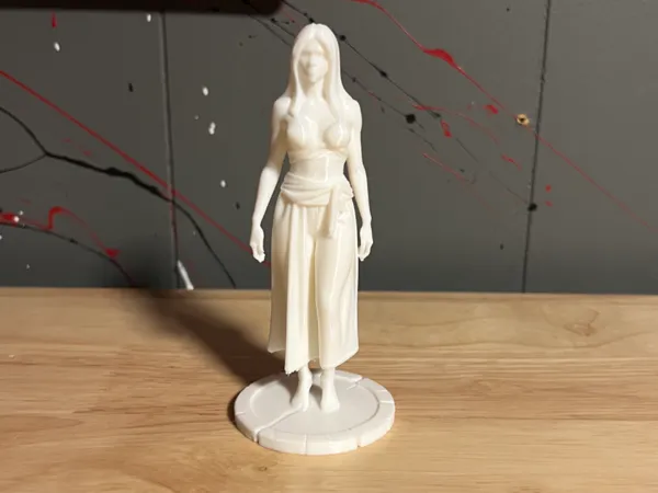 https://makerworld.bblmw.com/makerworld/model/UScc11d4730025e1/design/2025-07-29_db13408c8dfbd.jpg