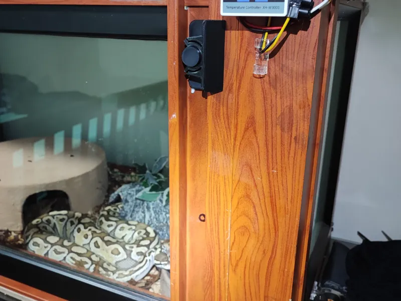 Reptile door stick on latches for glass or wood