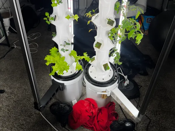 https://makerworld.bblmw.com/makerworld/model/UScc1260a0135b9c/design/2025-11-03_850c99f3fc59.jpg