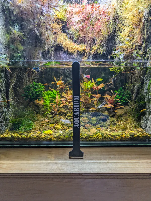https://makerworld.bblmw.com/makerworld/model/UScc14c4e53c2781/design/2024-01-11_8c011cec0481b8.jpg