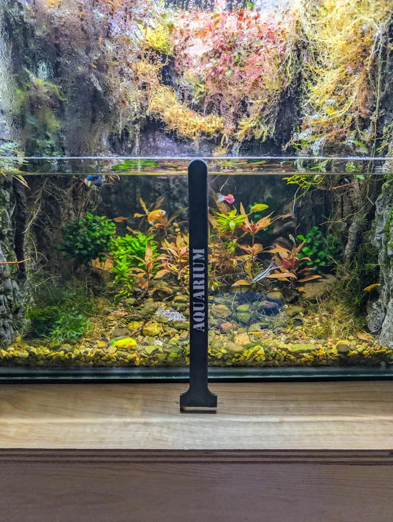 10" Aquarium Glass Scraper