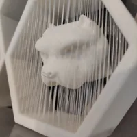 0.2mm layer, 2 walls, 12% infill