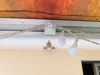 Awning Hook