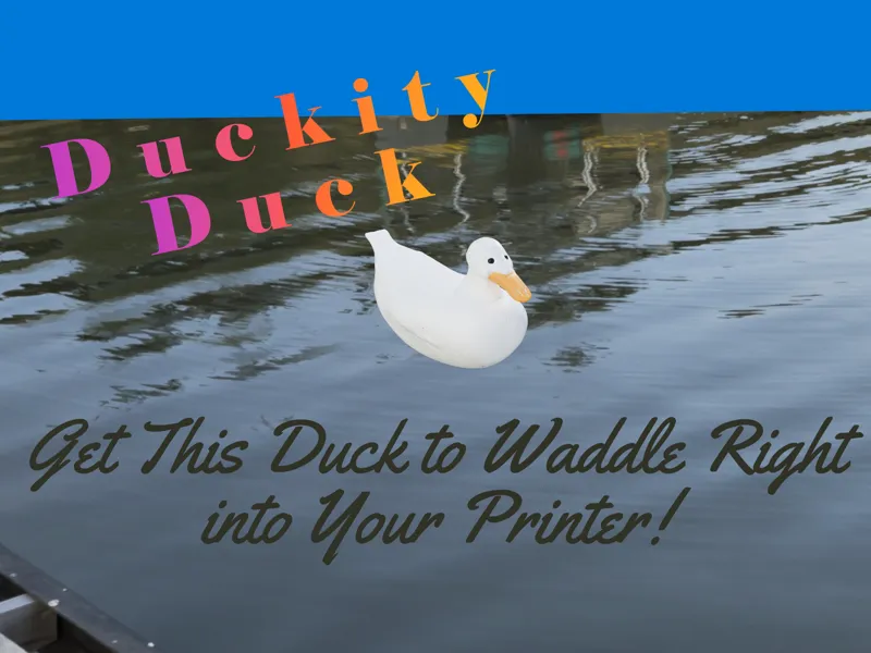 Marble The Duck!