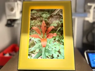 Picture Frame - 4" x 6"
