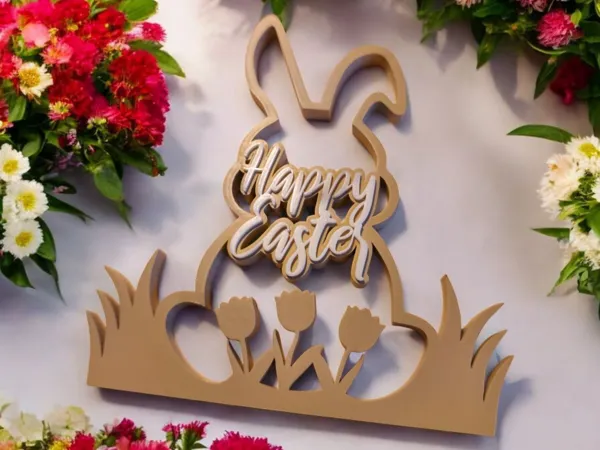https://makerworld.bblmw.com/makerworld/model/UScc35ed02acc29a/design/2025-02-23_623f4fb6a3ca9.jpg