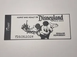 Disneyland Ticket