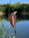 Crankbait all parts