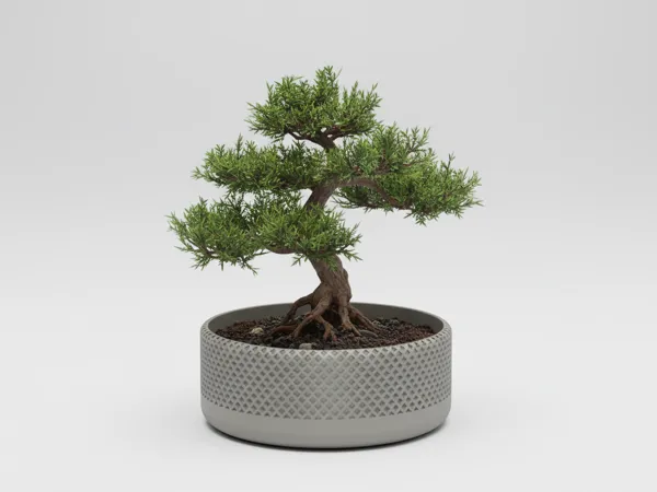 https://makerworld.bblmw.com/makerworld/model/UScc40cdfddea127/design/2026-01-11_bb6bbf74f8784.png