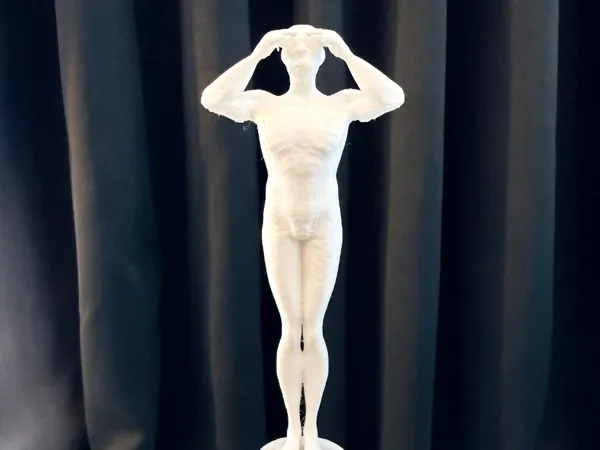 https://makerworld.bblmw.com/makerworld/model/UScc42a275a37dc/design/2024-10-06_8e7b6e37226bd.jpg