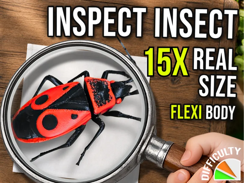 Inspect Insect - Fire Bug