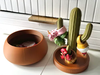 cactus jewelry box