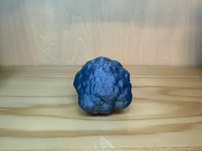 meteorite