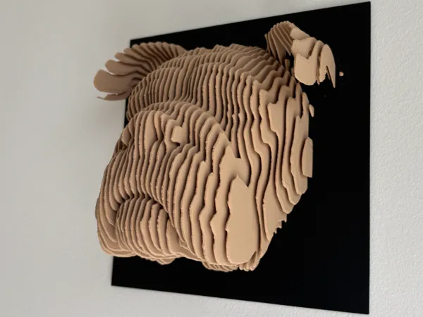 https://makerworld.bblmw.com/makerworld/model/UScc56bc8535c0be/design/2025-04-23_f1650bfe0c7a.jpg