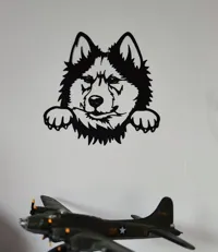 Husky sibérien — photo 1