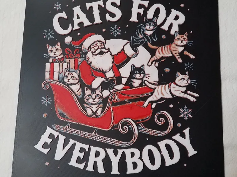 Cats For Everybody