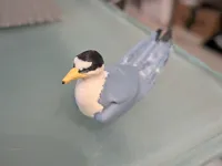 Least Tern Bird