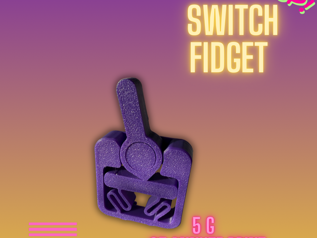 Switch fidget 