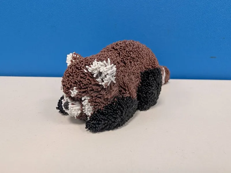 小熊貓 Redpanda
