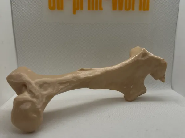 https://makerworld.bblmw.com/makerworld/model/UScc79591c3d1168/design/2025-01-04_50b68b99a2f1.jpg