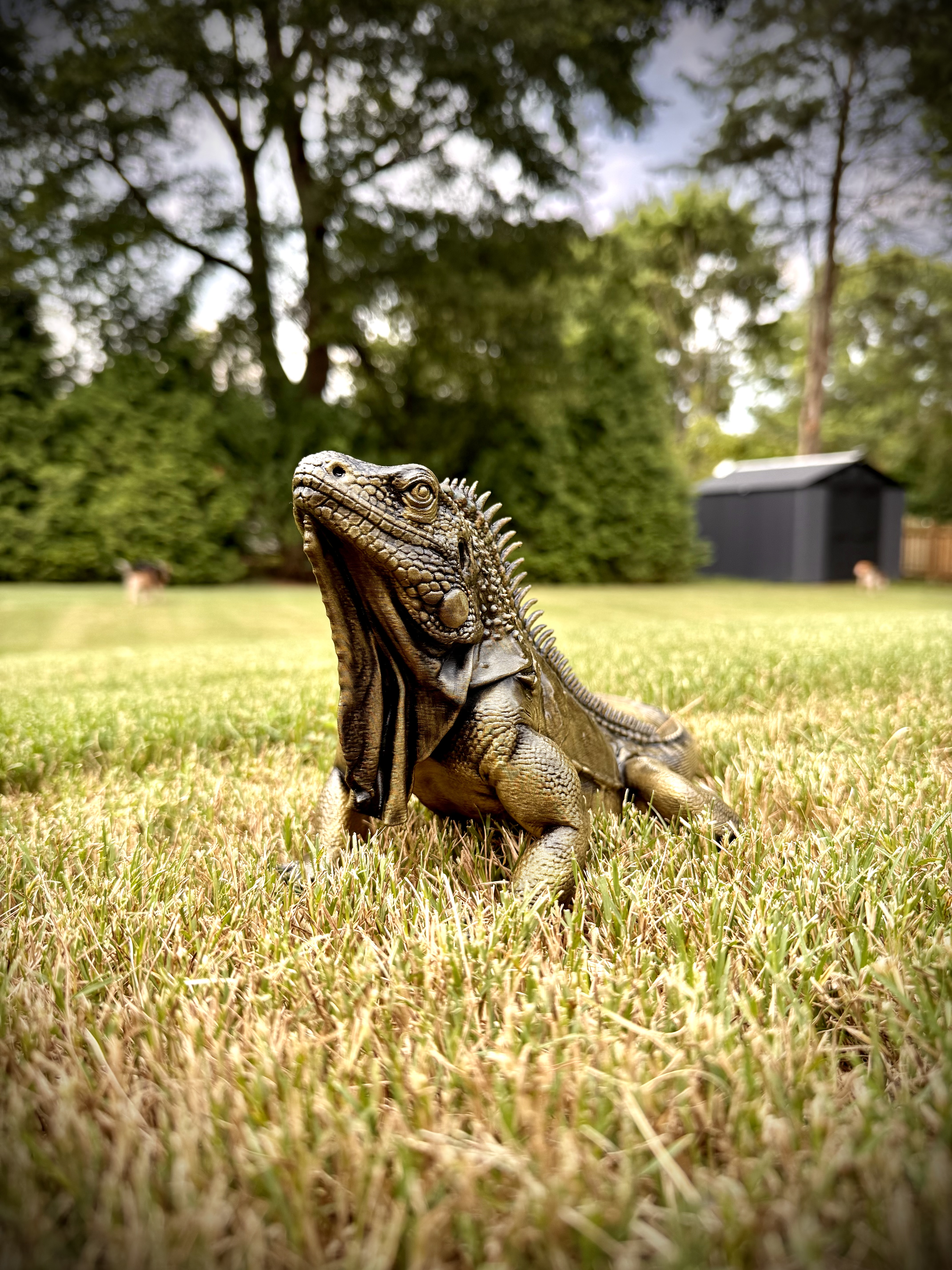 Ultra Detailed Iguana Statue - Hyper Realistic! - 1