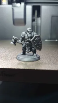 Dwarf with hammer and shield
