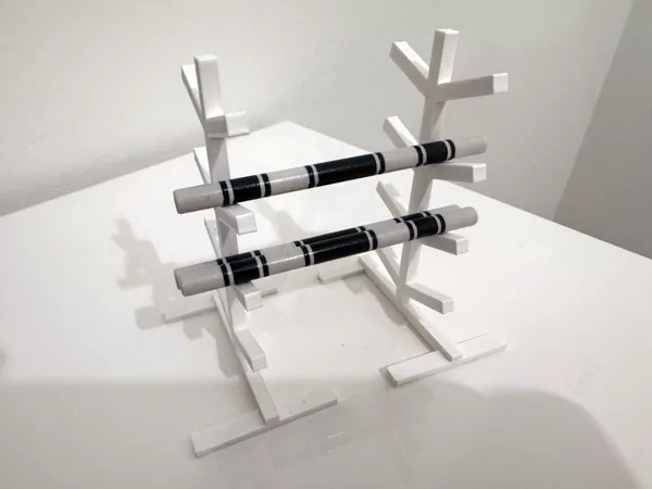https://makerworld.bblmw.com/makerworld/model/UScc80c988808aa9/design/2025-05-10_77c73fe2826dd8.jpg