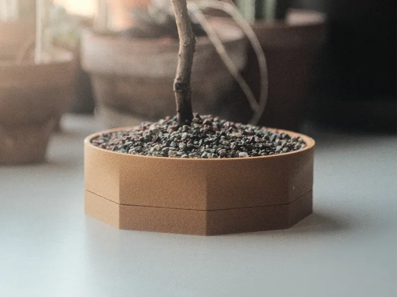 Shallow bonsai pot with drip tray