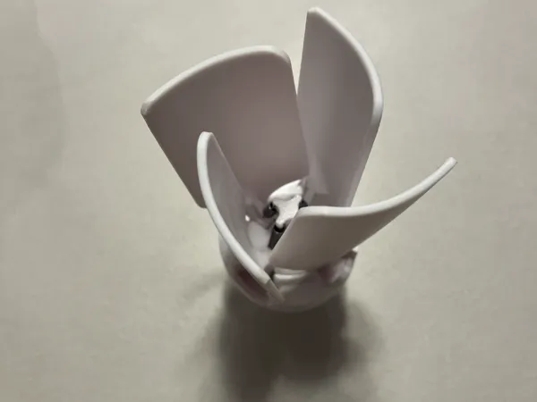 https://makerworld.bblmw.com/makerworld/model/UScc81d35c0620ad/design/2025-03-17_f56256e07d2ee.jpg