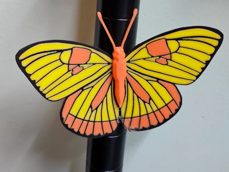 Butterfly Magnet - Orange Barred Sulfer