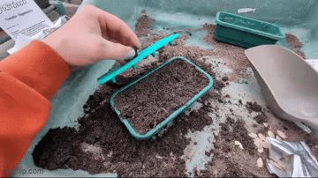 https://makerworld.bblmw.com/makerworld/model/UScc8af5872e163e/design/2025-04-21_8b8e651f097f08.gif