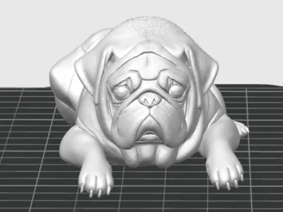 Berlin The Pug