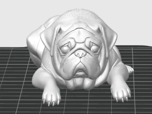 Berlin The Pug