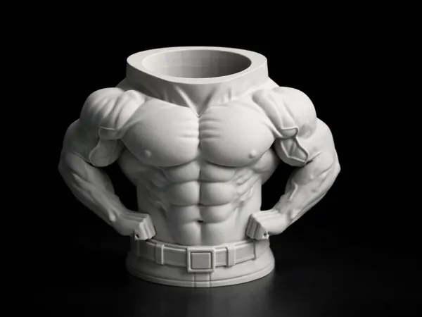 https://makerworld.bblmw.com/makerworld/model/UScc8cf0b19f0d55/design/c58f4b105eef190f.png