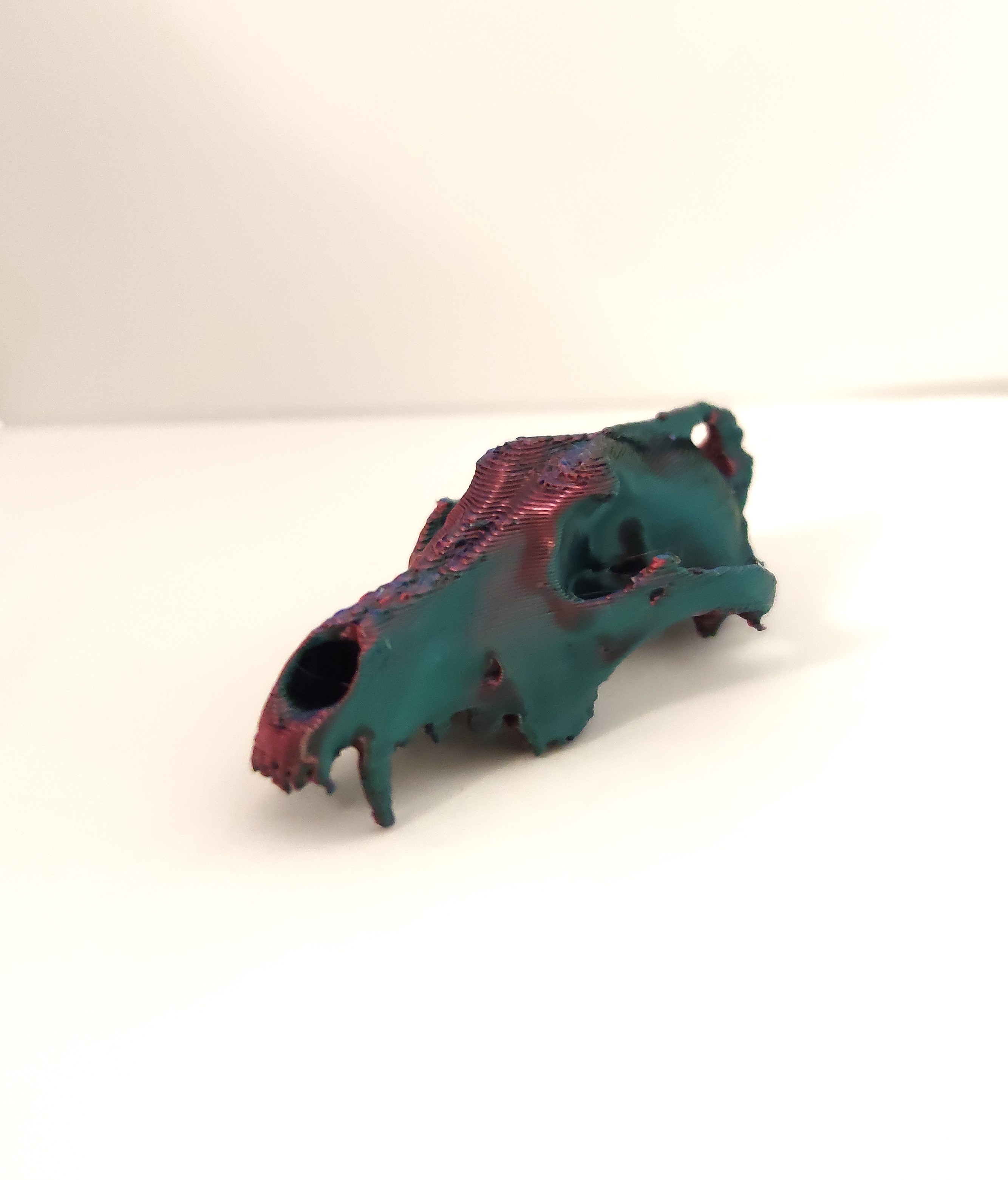 Miniatura 1 do modelo 3D Tiny Skull Keychain – Anatomically Accurate wolf 