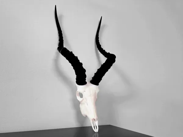 https://makerworld.bblmw.com/makerworld/model/UScc957215c103e0/design/2025-05-07_267d03e11435b.png