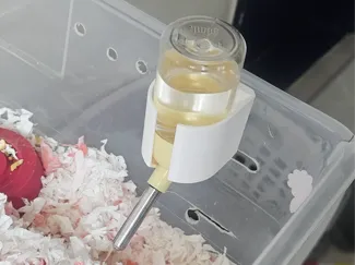 40mm Hamster Bottle Wall Mount (No Supports)