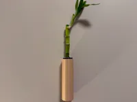 0.2mm layer, 2 walls, 10% infill